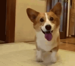 sourceУАЦ.gif
