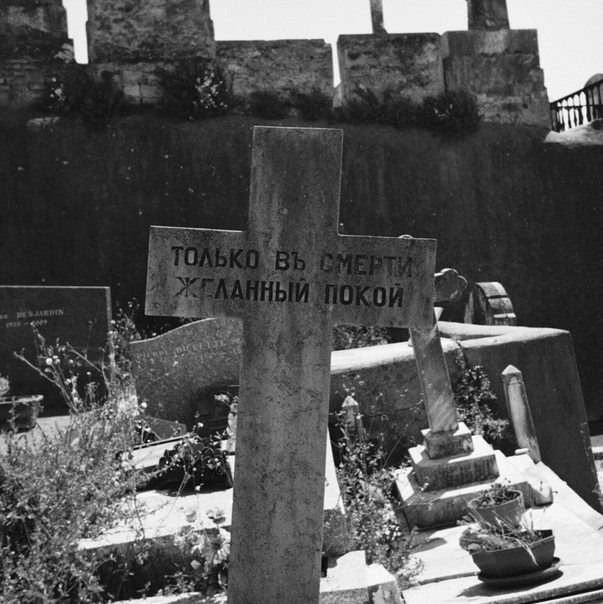 srYulYoLV8I.jpg