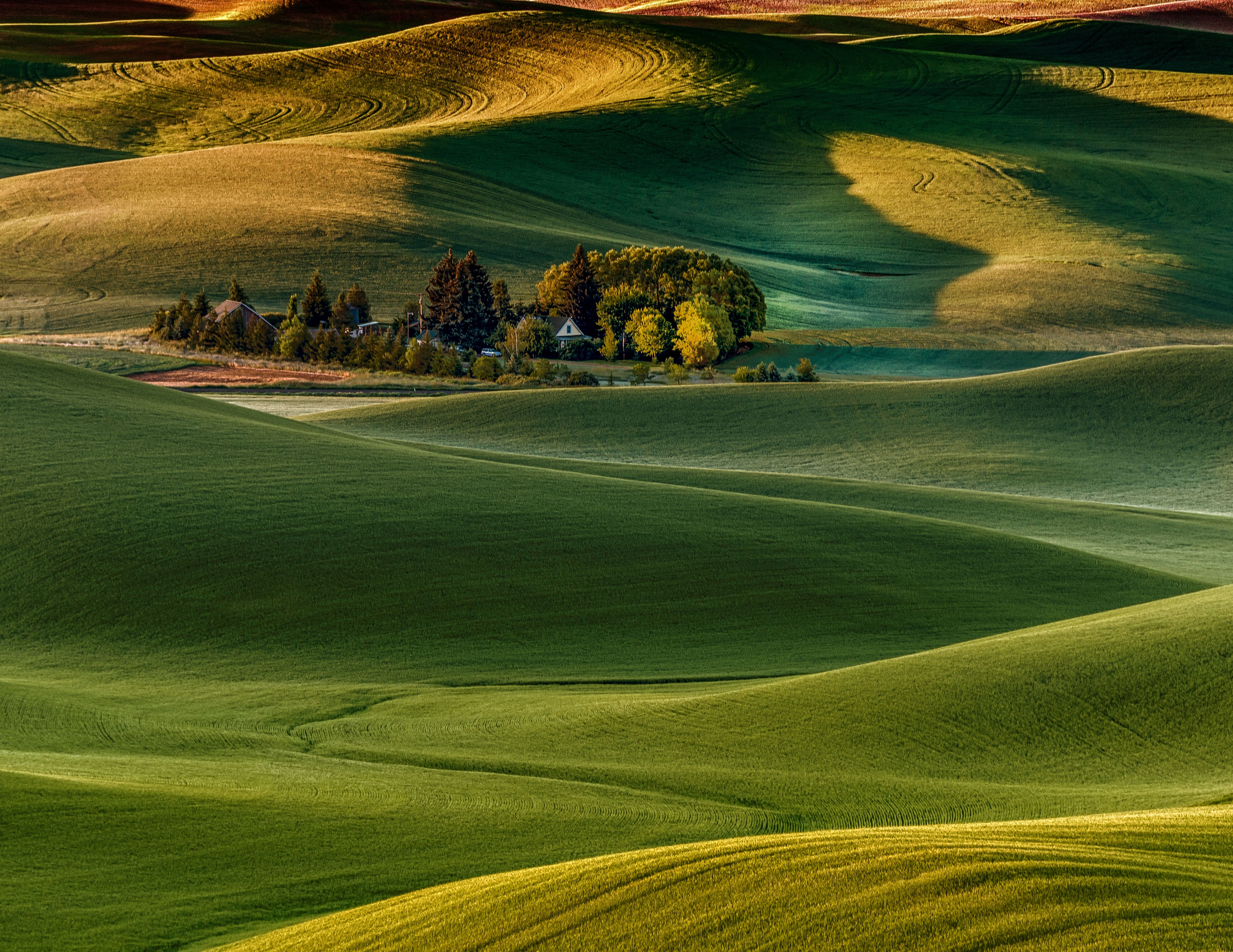 Sunrise from Steptoe Butte on Palouse Farm 3rd day1c (1 of 1).jpg
