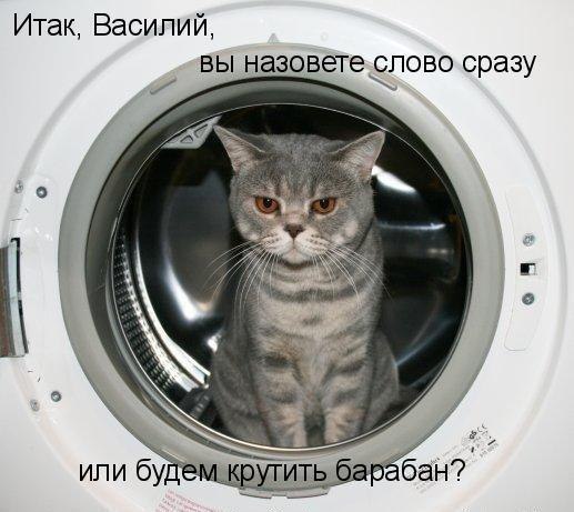 sx_9MtZ3B8Y.jpg