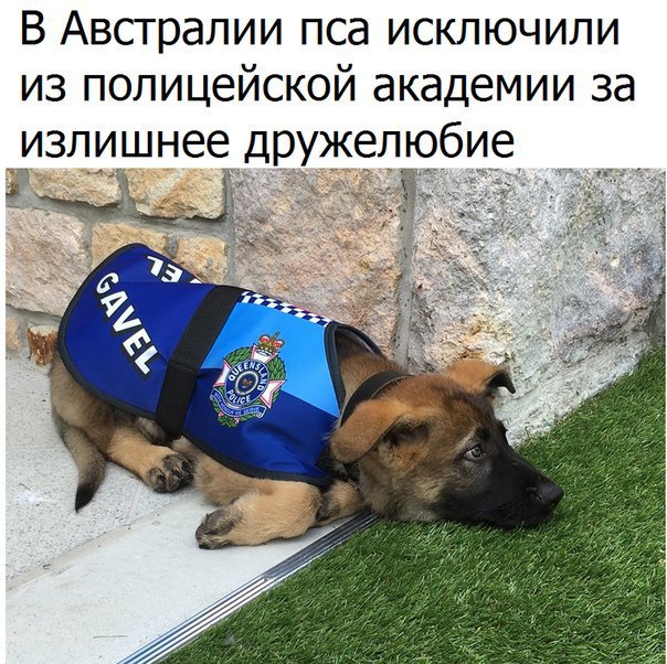 T3B37qOXvO0.jpg