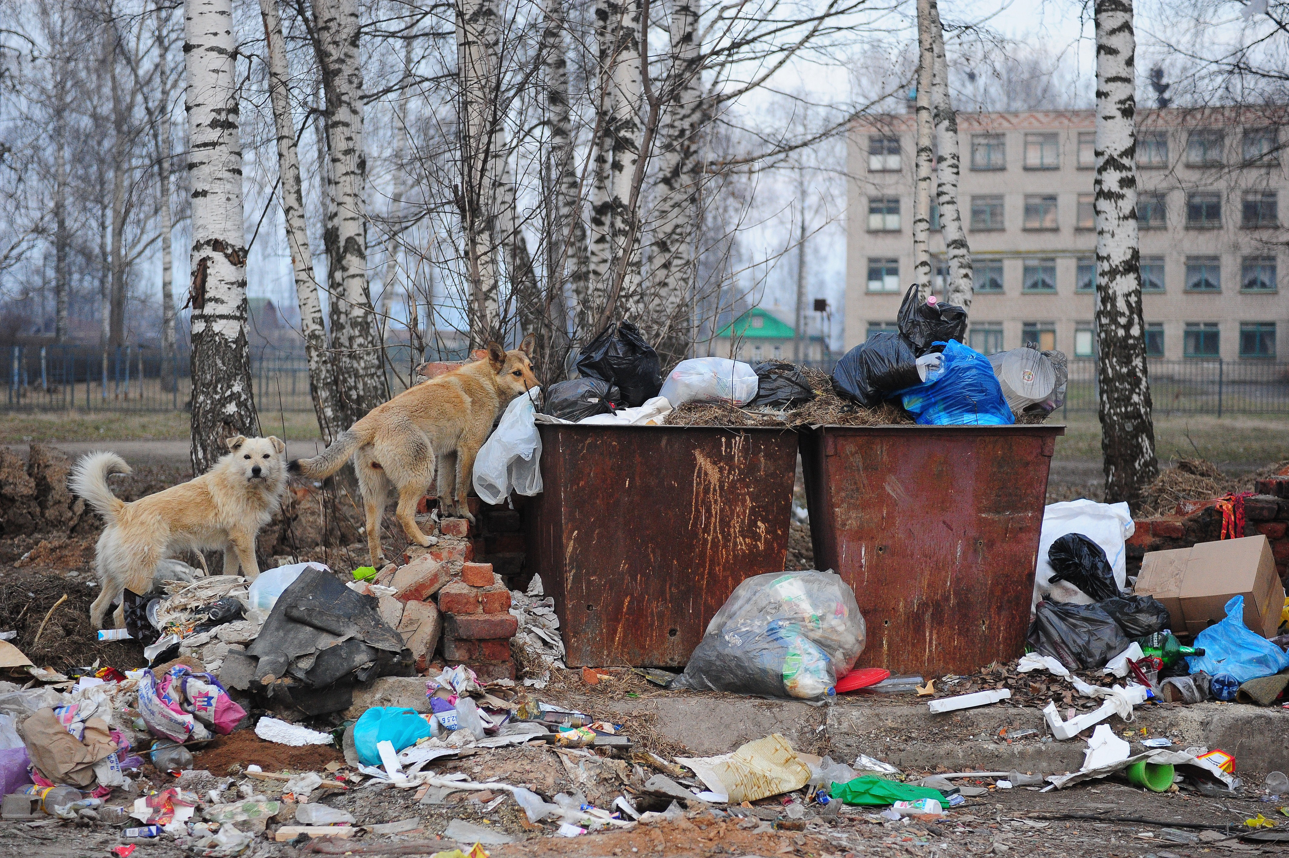 TASS_1504568.jpg