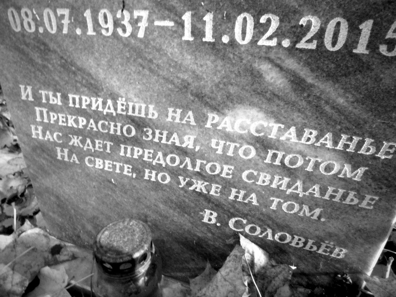 taWwVyKVEZg.jpg
