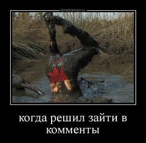 tmb_demotivatorium_ru_kogda_reshil_zajti_v_kommenti_127423.jpg