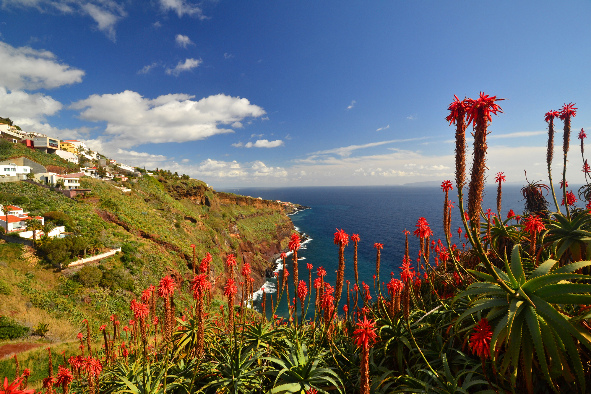 tour_0a596cea5c-1.jpg