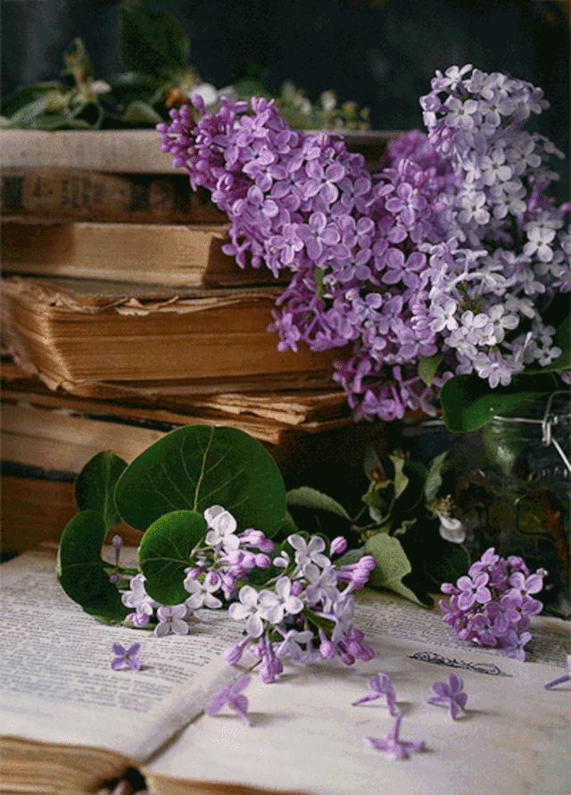 tumblr_ef3026de44f6b136c8693174c466384f_b7a8a4f7_400.NMUgG.gif