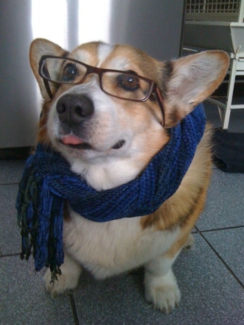 tumblr_mg6mhcbc1W1s0ath6o1_500.jpg