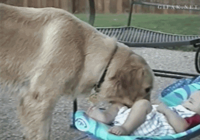 tumblr_mmbg9nDs4G1s2yegdo1_400.gif