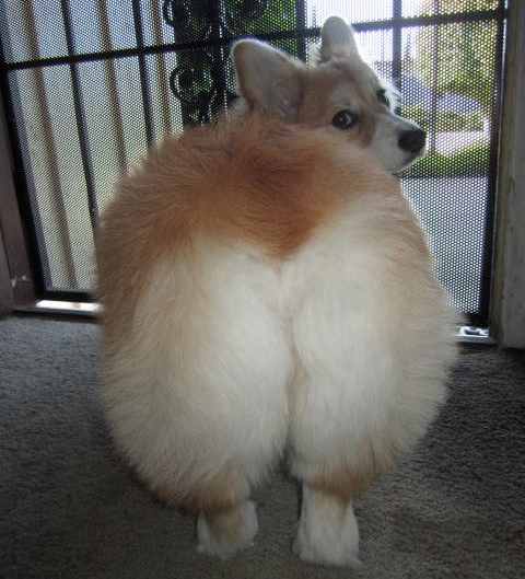 tumblr_mnufxikPic1qa7wkvo1_500.jpg