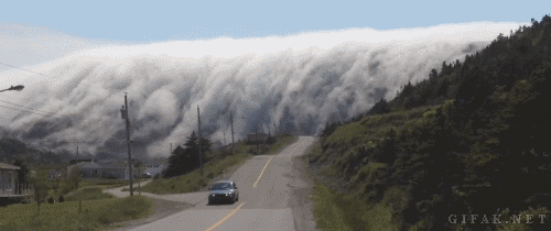 tumblr_mrw50ck2z91s2yegdo1_500.gif