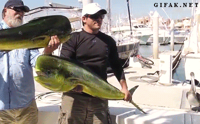 tumblr_mv9v6sEykh1s2yegdo1_400.gif