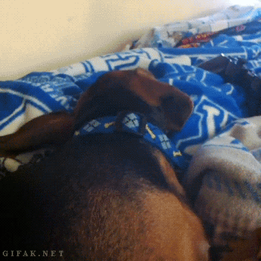 tumblr_mvs1ujKFre1s2yegdo1_400.gif