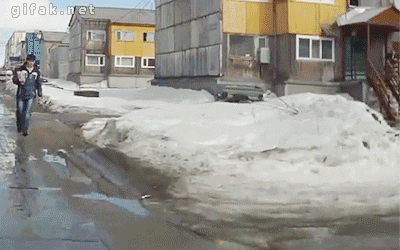 tumblr_n05m7iv1Q81s2yegdo1_400.gif