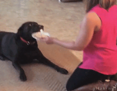 tumblr_n413uzJHKh1s2yegdo1_r1_400.gif