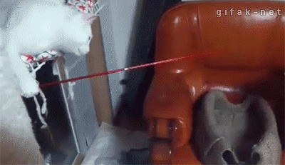 tumblr_n4a7aztFI11s2yegdo1_400.gif