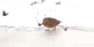 tumblr_n5tvg3yupv1s2yegdo1_400.gif