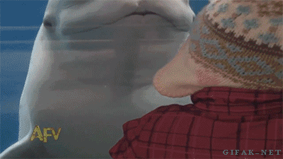 tumblr_n5ziwy0RmI1s2yegdo1_400.gif