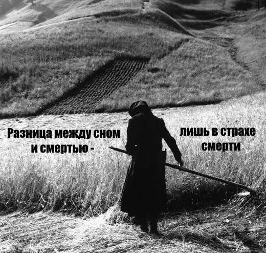 tvS9VMDmwNg.jpg