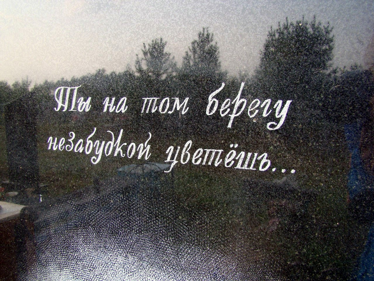 TzG_qnBdL7w.jpg