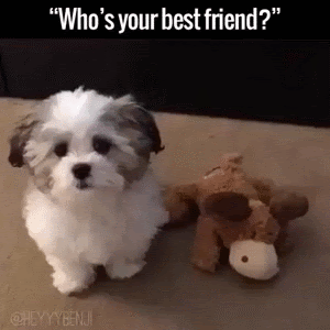 unnamed.gif
