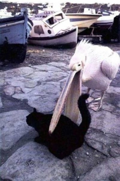 untitled.jpg