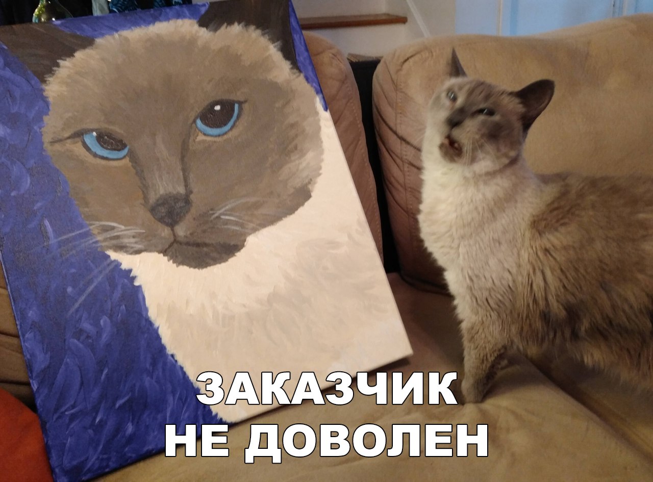v2CqDEWAjH8.jpg