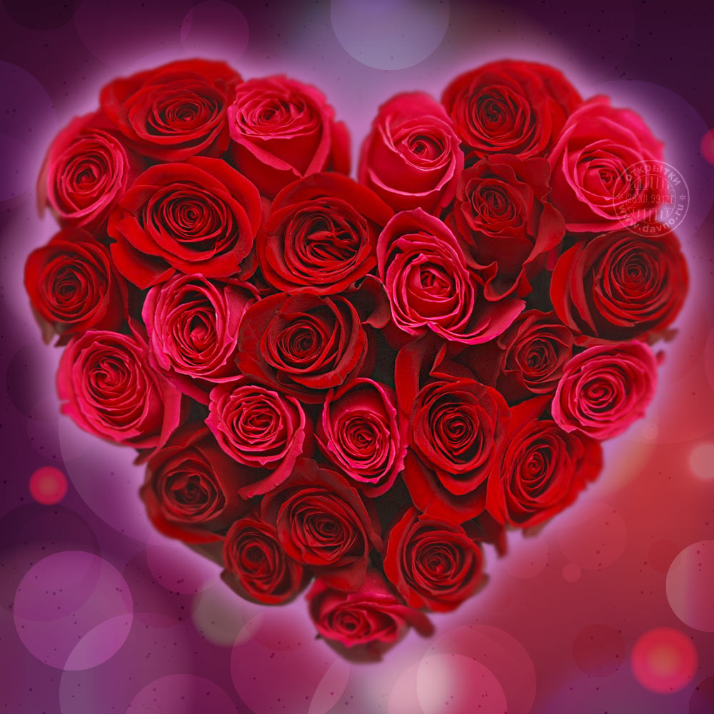 valentines-413.jpg