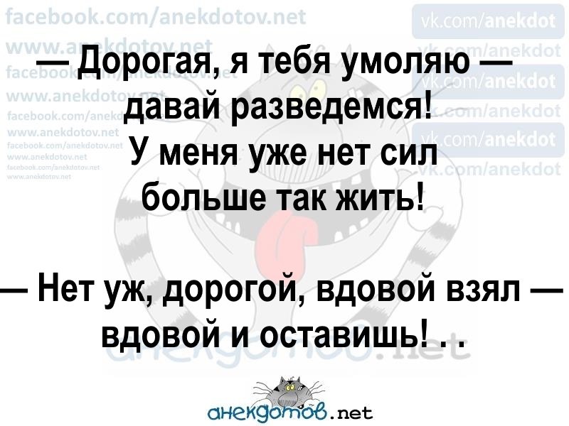 VdEni6qq7ss.jpg