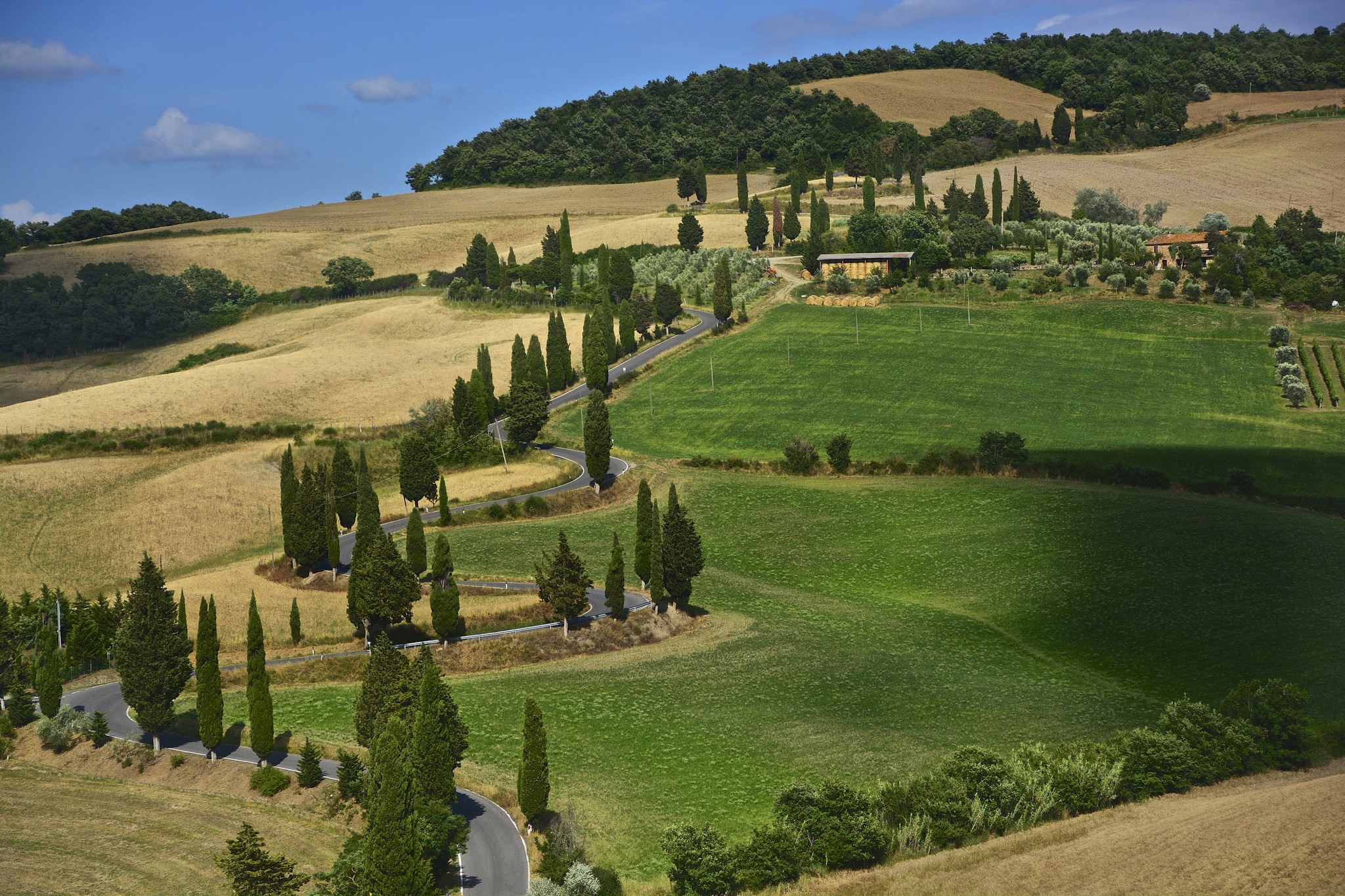 very-green-and-relaxing-landscape.jpg