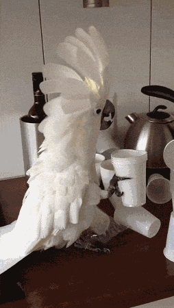 vgif-ru-20869.gif