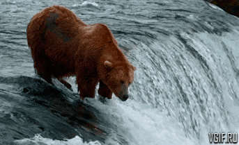vgif-ru-22816.gif