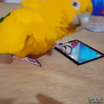 vgif-ru-27110.gif