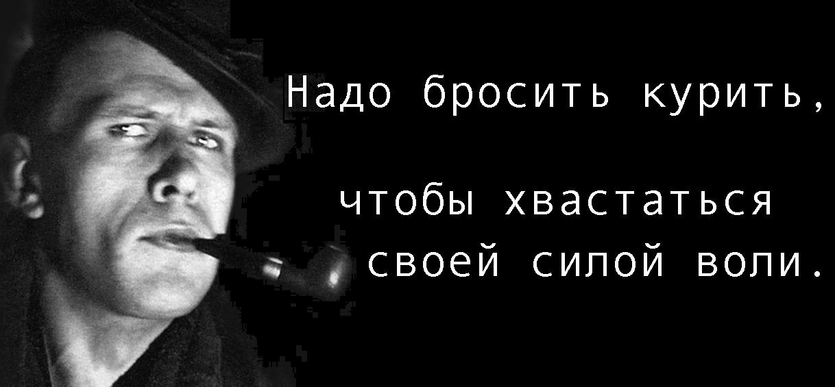 W8ixCVTaEsM.jpg