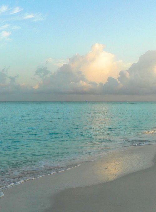 water 5.jpg