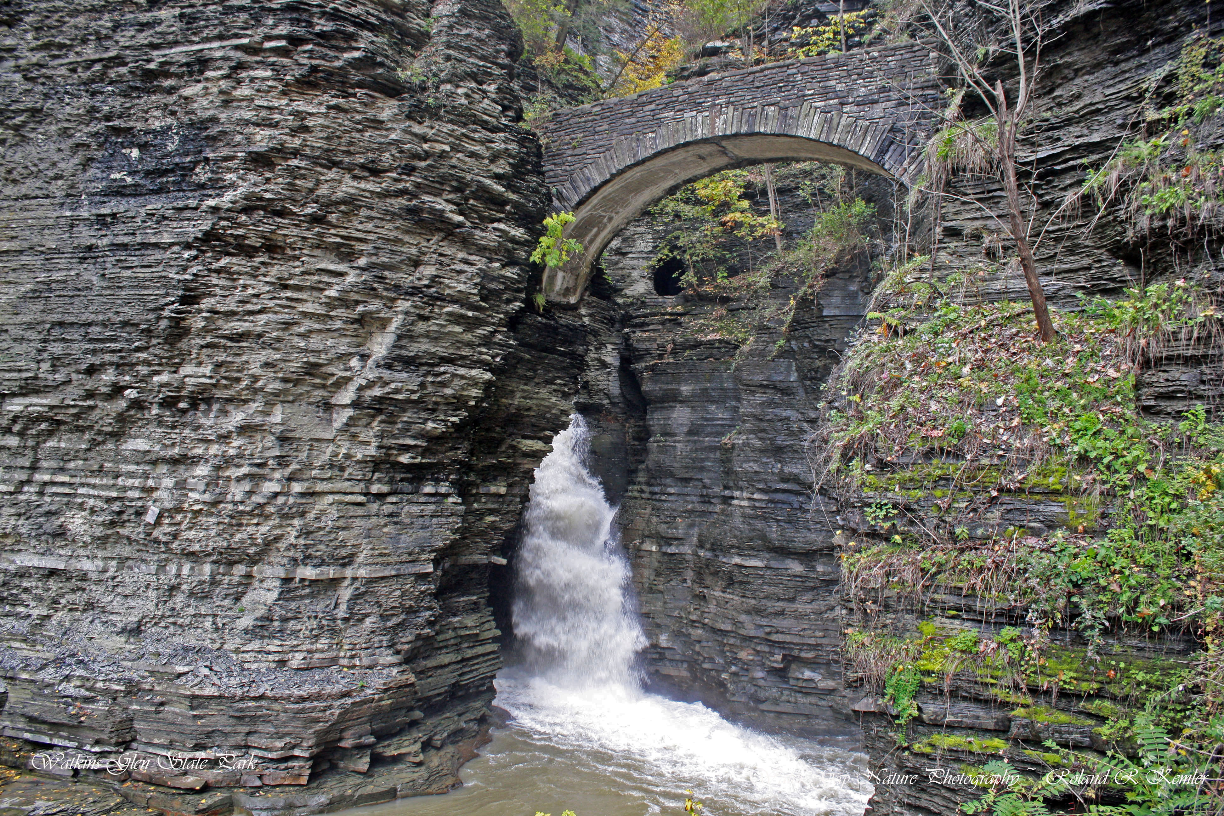 Watkins Glen state park 015 copy2.jpg
