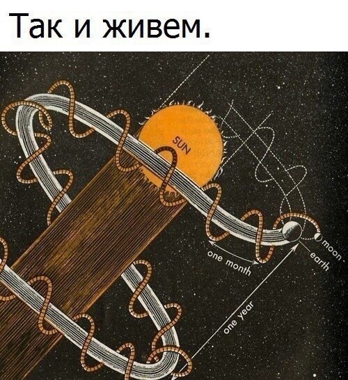 WbsmwV5Zf8g.jpg