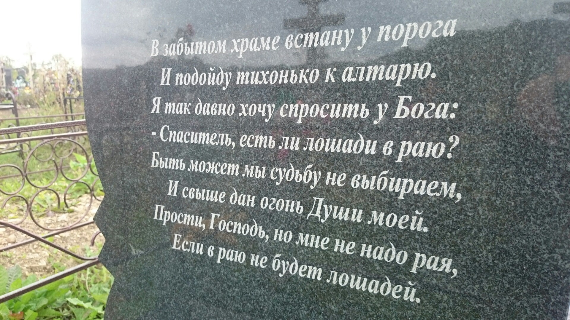 WgpGgWu-Jy4.jpg