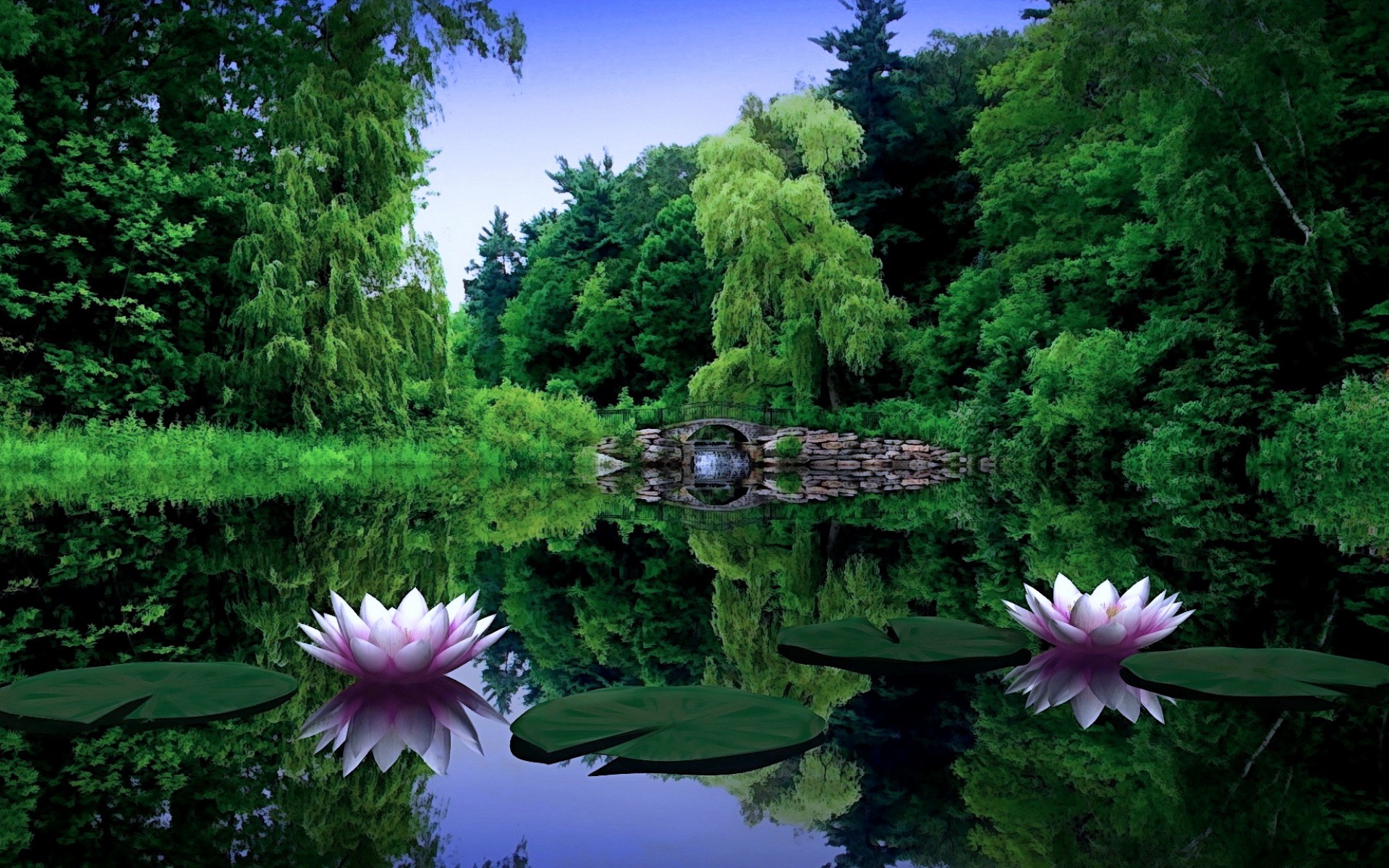 ws_Romantic_Lilies_1920x1200(1).jpg