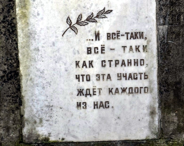 XJl39YyqHJ4.jpg