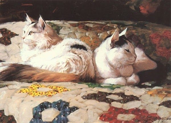XMVUI8pTRoA.jpg