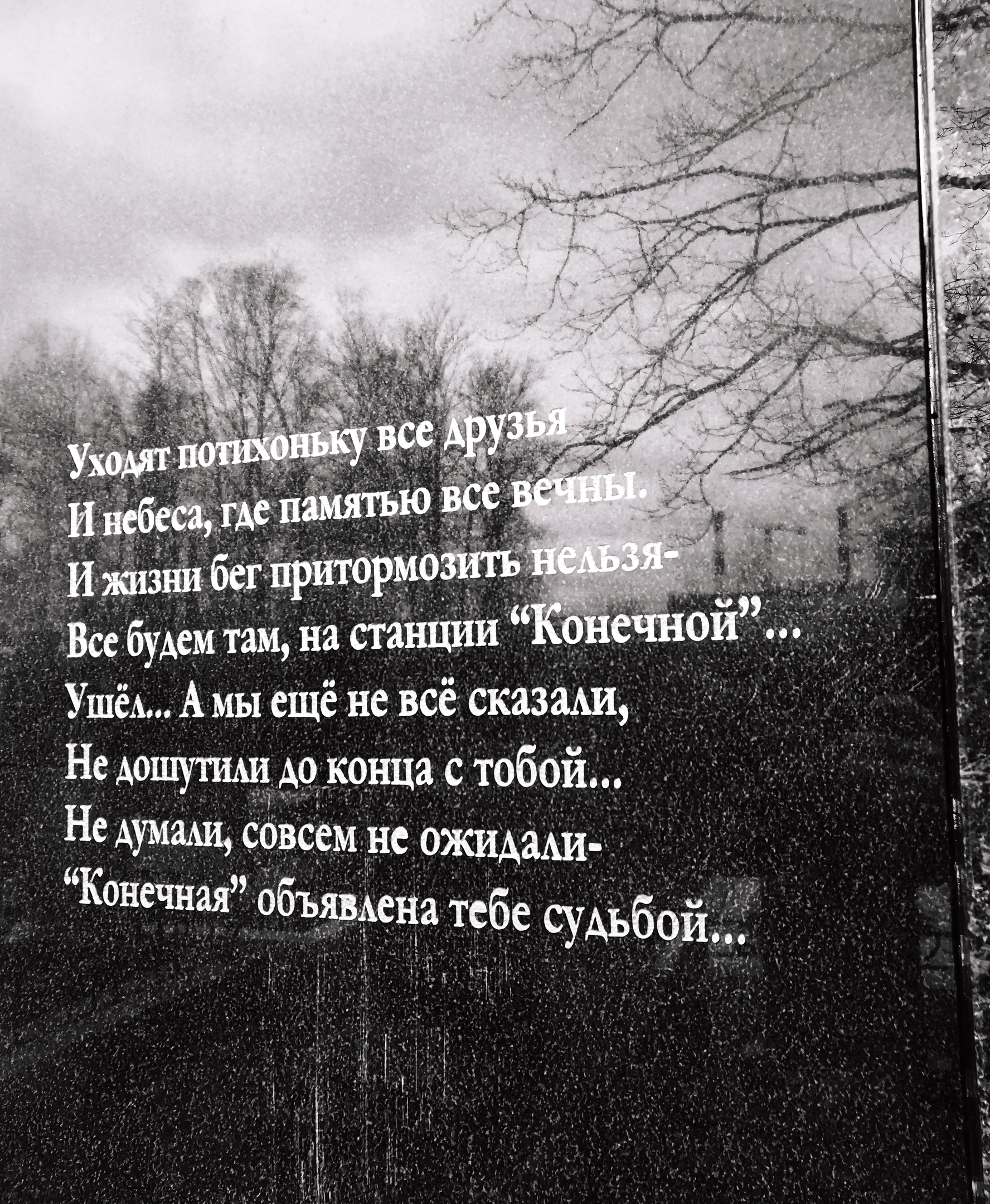 y2fQKRPki6w.jpg