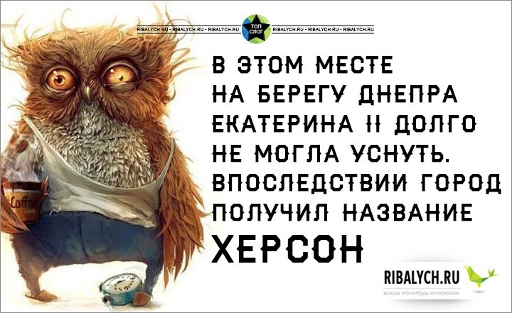yumor-v-kartinkax_505.jpg