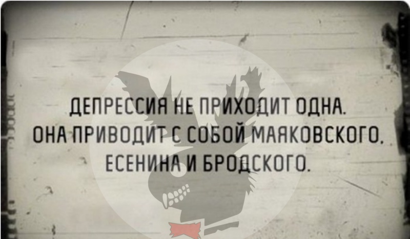 ZbevZ2cS8Lk.jpg