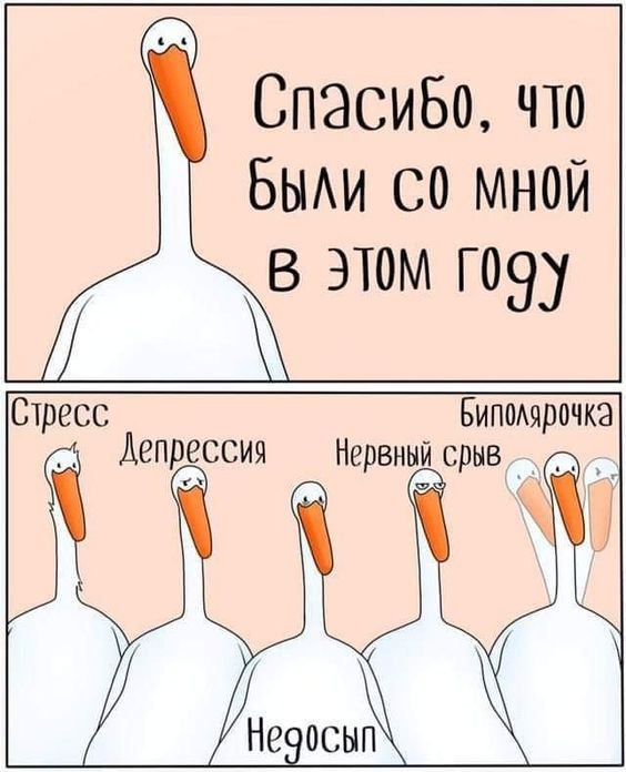 zcobEqLPX_M.jpg