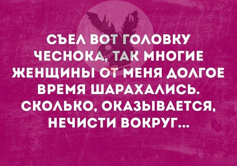 zdwGo2jdr9U.jpg