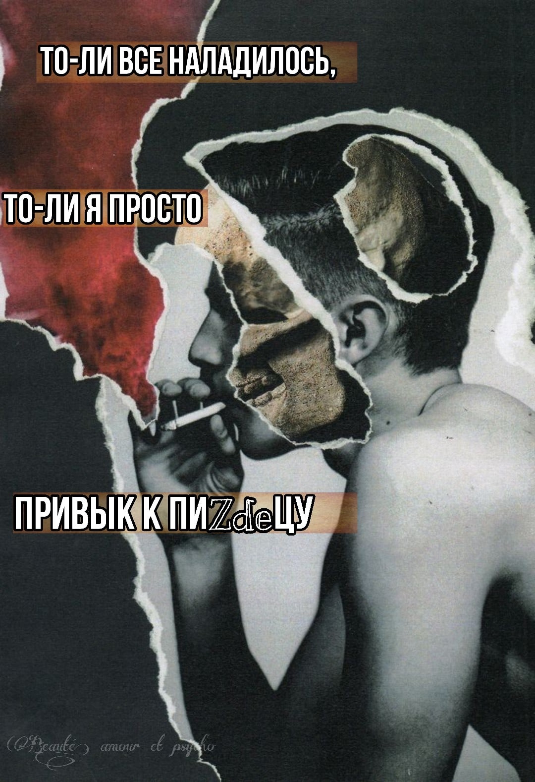ZPBwP-NGpN0.jpg